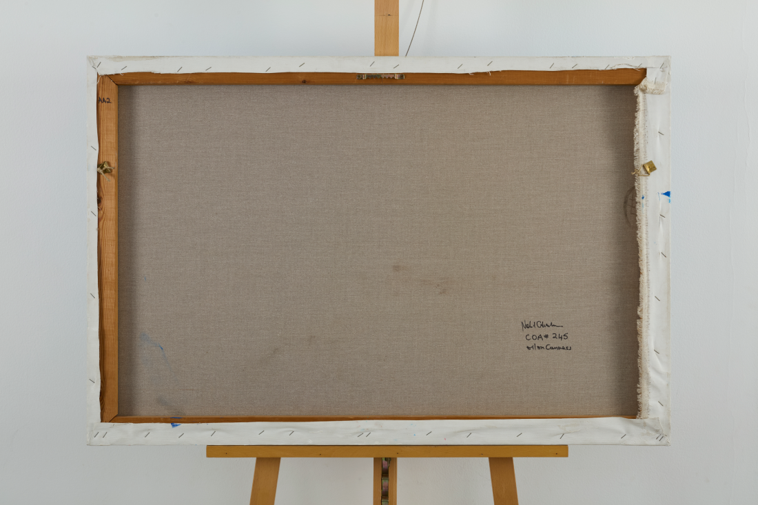 Fig. 05 — Framing — After the Storm